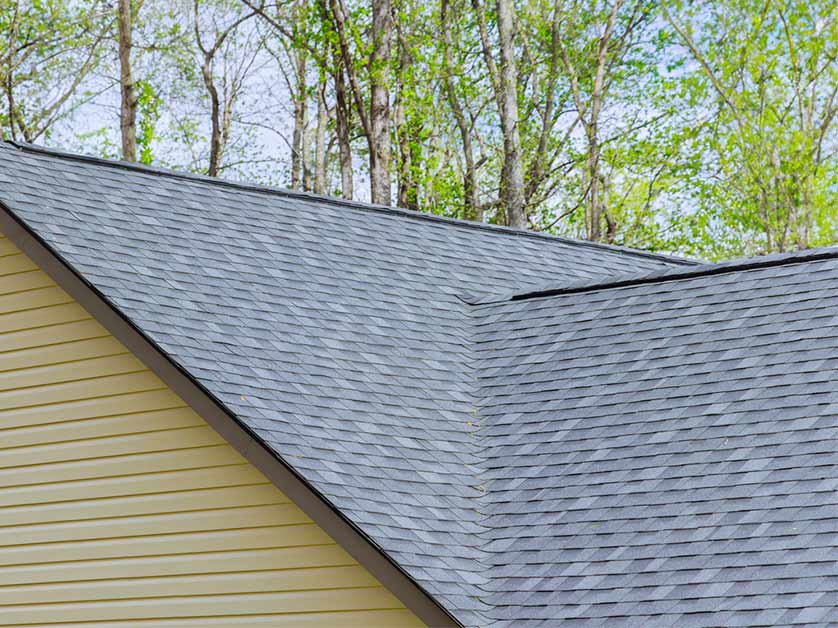 LePage and Sons Roofing LLC